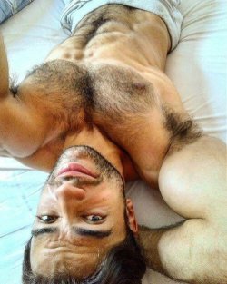 furrypty:   Eyes, pits and trailz.