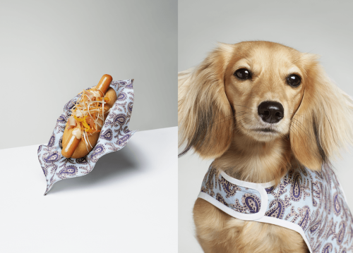 The Gourmand: Dog eat dog: hot dog fashion featureThe photo shoot I wished I’d assisted with. I saw 