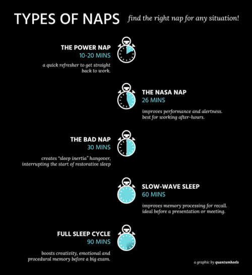 quantumheels - Need to take a nap? Use this guide to help you...