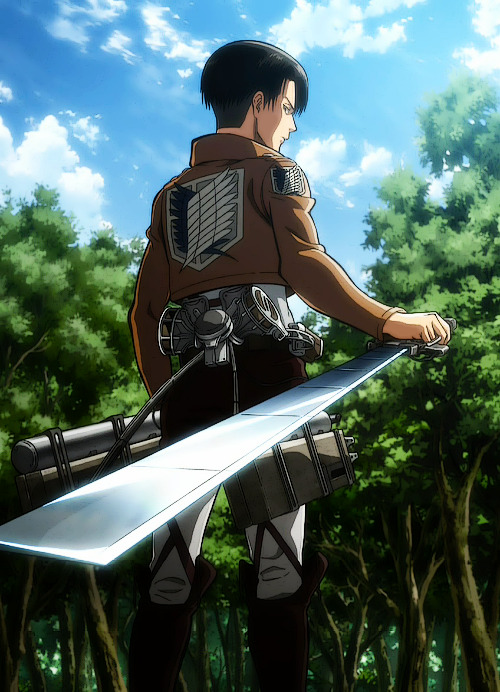Bara King