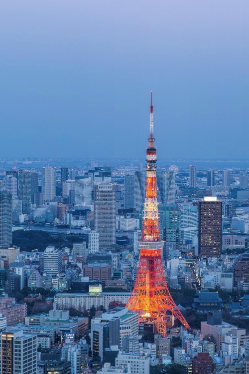 disminucion: Tokyo Tower 東京鐵塔, Isaac Luan