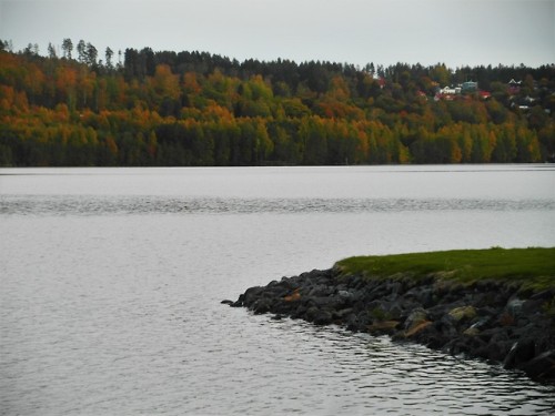 svartvik