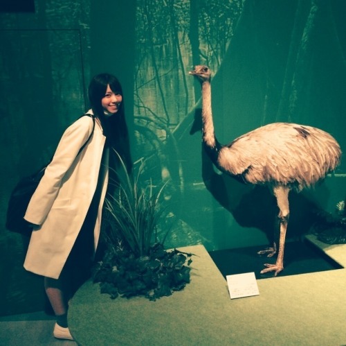 phorbidden:  http://nnnnnn-nanasemaru—i-love-you.tumblr.com/post/117862350843 西野七瀬