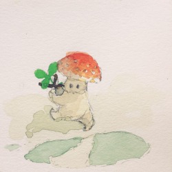 studio-thomas-walsh:A little mushroom finds a puddle