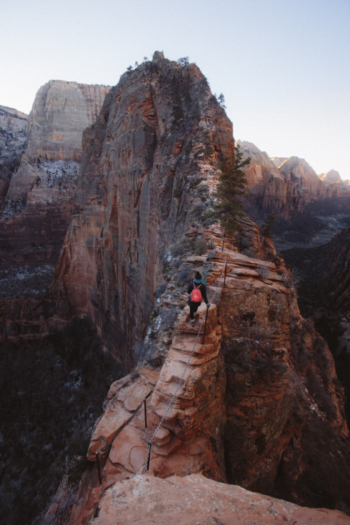 karl-shakur:6.8.4 ▪️ Karl-Shakur  ▪️ InstagramZion National Park, UtahUndoubtedly one of the more sk