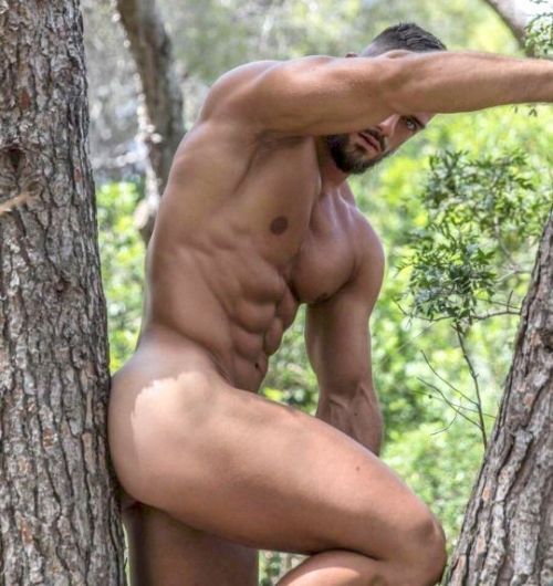 Fabien Sassier
