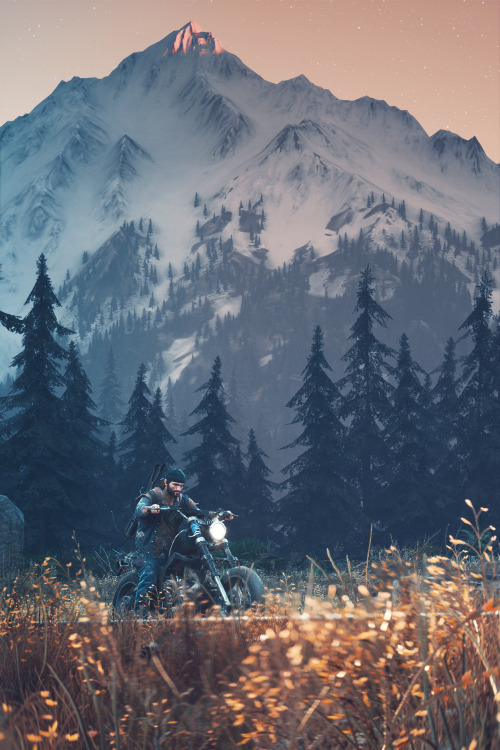 Days Gone (PC)