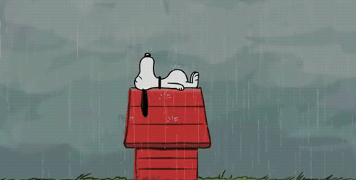 Snoopy Charles Schulz