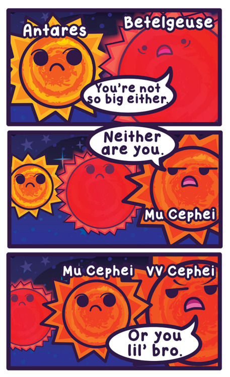 cosmicfunnies:Better late than never!This week’s finale on stars focuses on stellar sizes!http