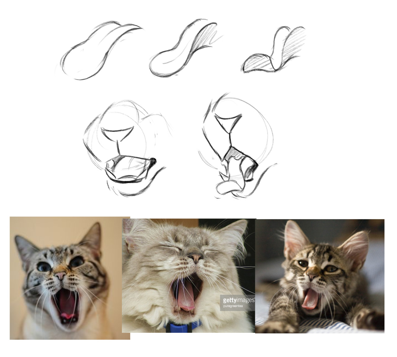 cat drawer snail keeper — how do you draw tongues? like in that one yawning ...