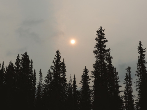 Burstall Pass Trail - Kananaskis Country, Alberta, Canada