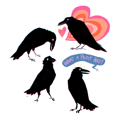 cassandra-parker:crows are out here wearing all black even in the hottest weather.. that’s true dedi