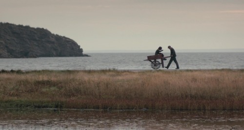 Maudie, 2016, Aisling Walsh