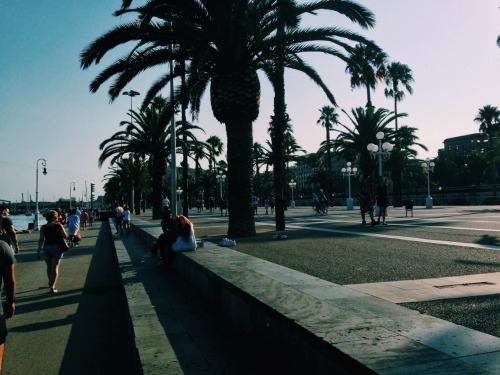 like–home:  “Barcelona is one of those innovative cities that can bring out the artist in anyone. All of a sudden we are photographers, painters, writers, film makers or just plain old philosophers.” Barcelona, Catalunya, Spain. Matheus Carvalho