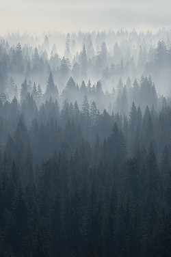 brutalgeneration:  Yosemite morning - smoking valley by fredlab on Flickr. 