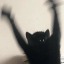 ongi-bongi-moved