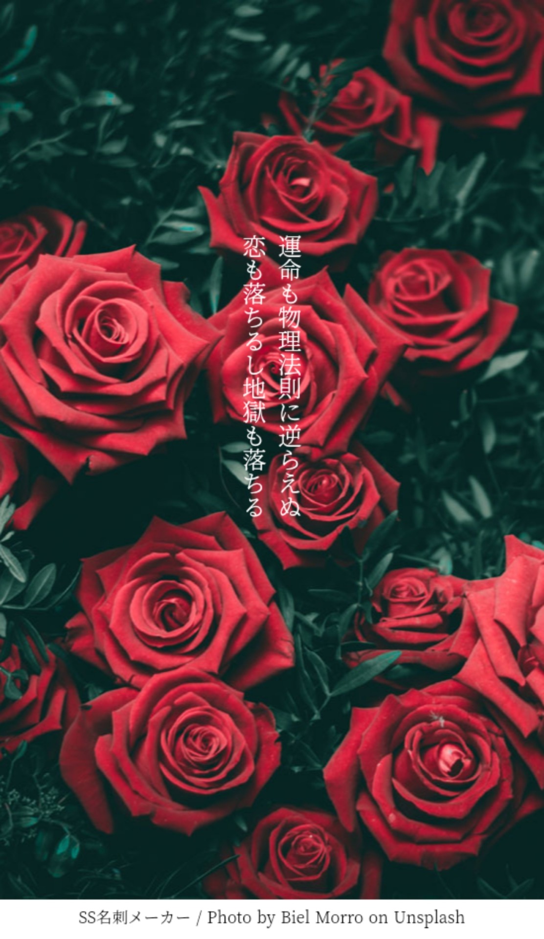 News Azwad Com Toshi S Tumblr 片桐機長 石川副操縦士は 正午過ぎに 羽田東急ホテルで 日航が手配した東京慈恵会医科大学附属病院の医 News Azwad Com Toshi S Tumblr 片桐機長 石川副操縦士は 正午過ぎに 羽田東急ホテルで 日航が手配した東京慈恵会医科大学附属病院の医