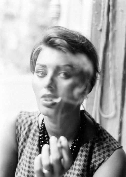 wehadfacesthen:Sophia Loren, New York, 1958, photo by Peter Stackpole