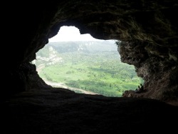 latinoamorica:  Cueva Ventana en Arecibo,