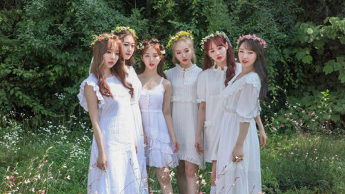 o-bit:behind the scenes midsommar (2019) dir. ari aster