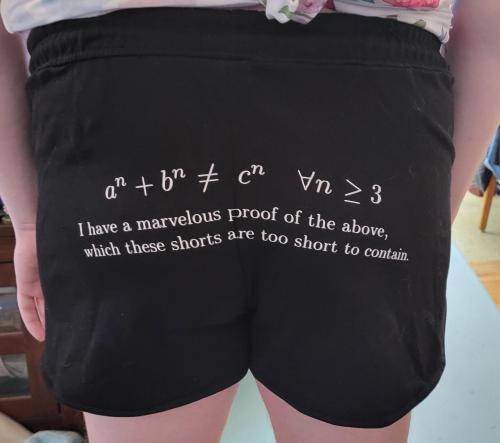 @wishuponastarion Helped Me Make These Fermat's Last Theorem Booty Shorts For Seattle Trans Pride!
