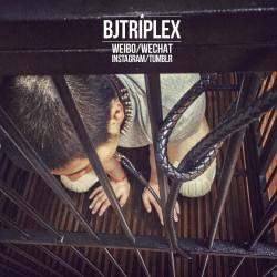 bjtriplex:  The cage and the dog. 