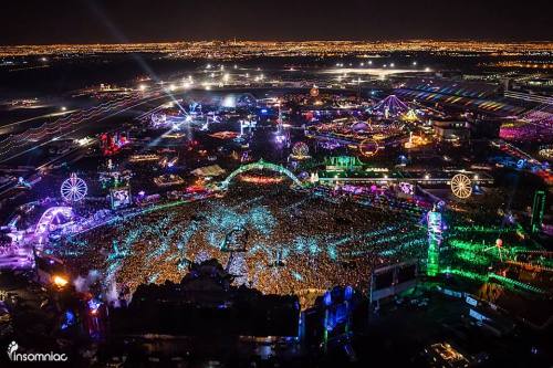 XXX electronic-life:  Electric Daisy Carnival photo