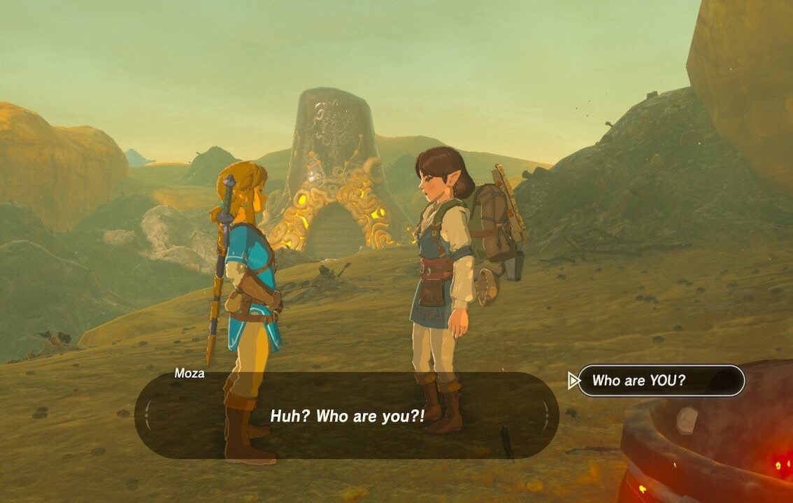 weirdmageddon:  more of botw link’s personality porn pictures