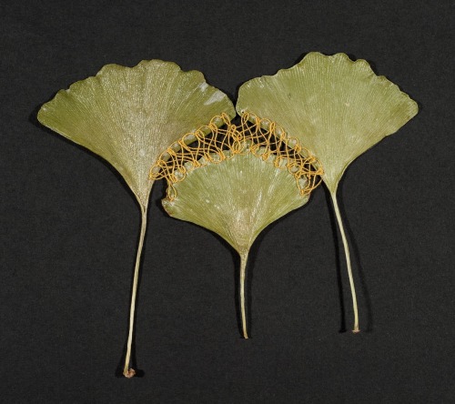 crossconnectmag:Embroidered and Stitched Leaves by Hillary FayleHillary Fayle born 1987 in Elma, N.Y