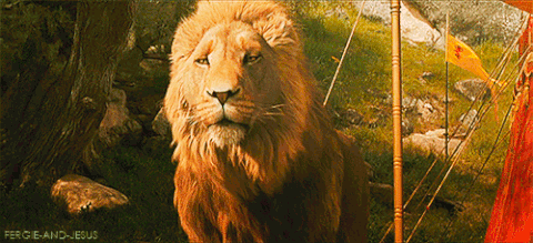 jessalynlearns: badromantics:  missmitchieg:  Lions in The Lion King (2019) no matter what is happening at any moment: -__- Lions in real life:    CGI lion rendered far more beautifully and emotively … 14 years ago.  