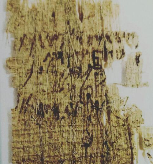 themacabrenbold: My type of #prayerPapyrusProvence: Tal-Virtu’, Rabat, MaltaDate: c.500BC #MyMaltaPr