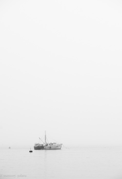 ~Bar Harbor, Maine ~