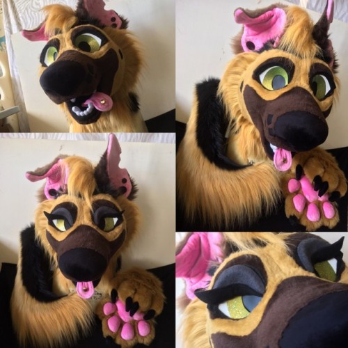 makersdatabase: Whats Up HotDog (WHUD Fursuits)Have you ever seen such PRISTINE PAWBEANS in your lif