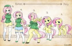 Types - Fluttershy