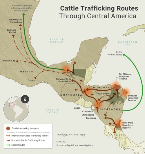 mapsontheweb:Hundreds of thousands of cattle are trafficked each year through Central America and Me