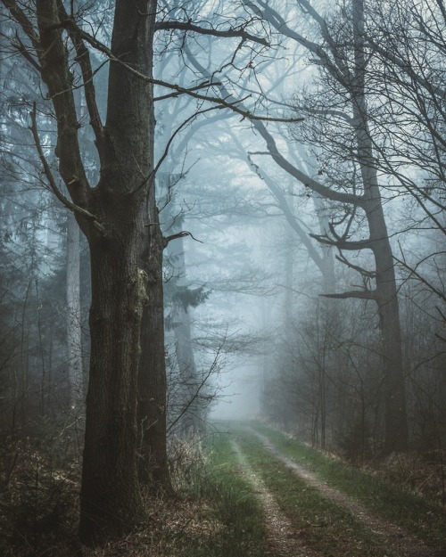 ingmvr:Moody nature