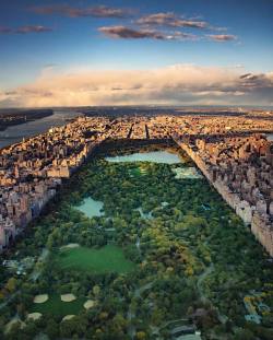 newyorkcityfeelings:  Central Park by @derek_austin_sabety | @flynyon @nyonair #NYC 