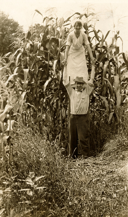 A woman on a farmer’s shoulder emphasizes a corn crop’s height in Minnesota, 1916.Photog