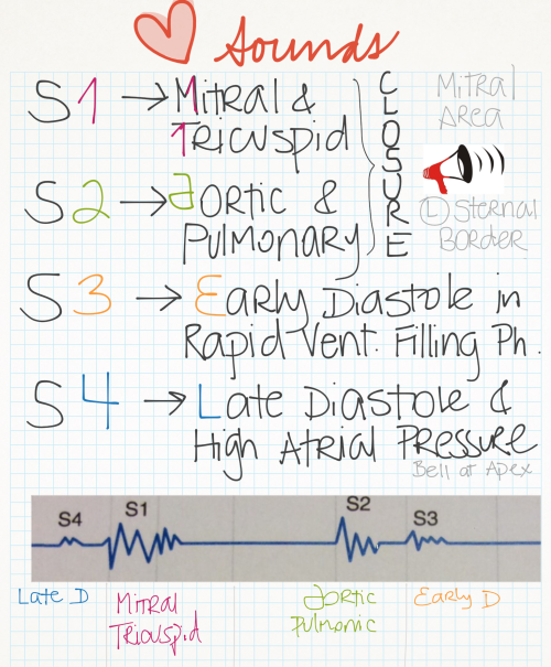 mynotes4usmle:Cardio Mnemonics for Review Heart Sounds Heart Murmurms  Murmurs &amp; Maneuv