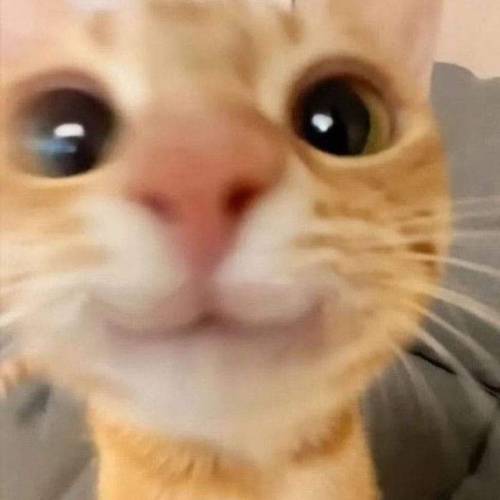 Me When Y'all Say Nicey Nice Things On My Stuff: