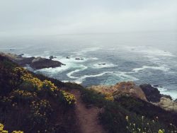 vhord:  zoe-rh:  bvddhist:  frjals-andi:  Carmel California.     welcome to earth  strictly nature