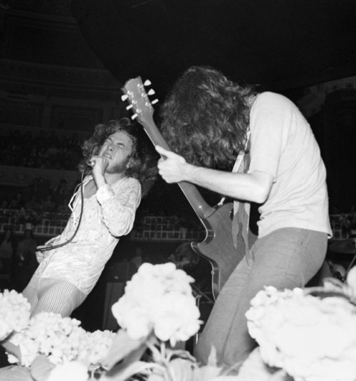 soundsof71:  Led Zeppelin: Flowering Jimbert, Royal Albert Hall, June 29, 1969From a review in New Musical Express: In one way, they appear to be fighting each other for dominance, in another they become as one but in the final analysis they serve to