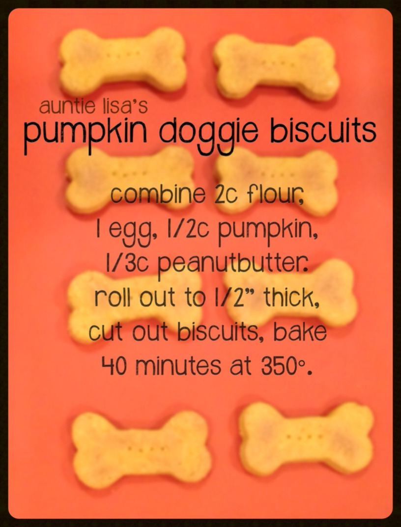 Adopt A Rescue Dog Tumblr Gallery adopt-a-rescue-dog-tumblr-gallery
