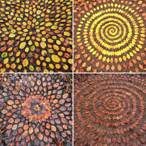 bubblewrench: Artist James Brunt Arranges Leaves and Rocks Into Elaborate Mandalas that first one lo