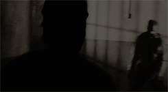 daily-walkers:   3.05 / 6.09 ( requested by anon ) 
