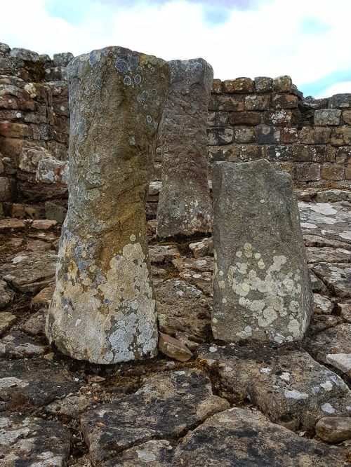 Housesteads Roman Fort, Hadrian&rsquo;s Wall, Northumberland, 13.5.18.