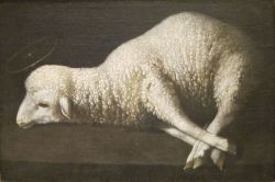 artist-zurbaran:  Agnus Dei, Francisco de