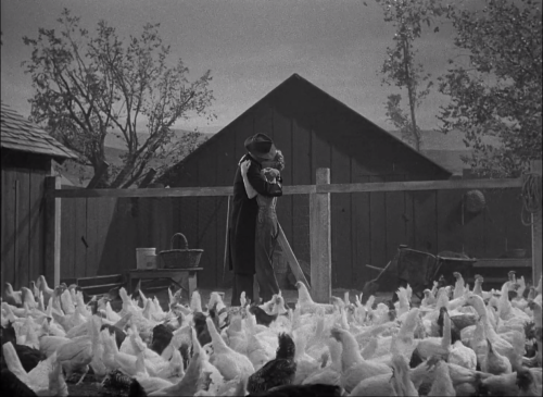 leatherhearted:THE FARMER’S DAUGHTER (1947, dir. H. C. Potter)