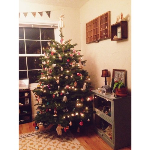 tree magic. #Christmas #christmastree #holidays #apartment #apartmenttherapy #portland #pacificnorth