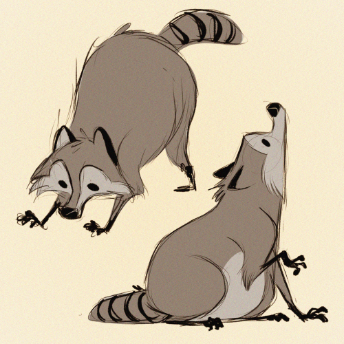 Raccoons? Raccoons. ¯\_(ツ)_/¯